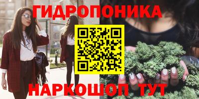 крисы Будённовск