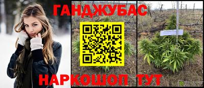 крисы Будённовск