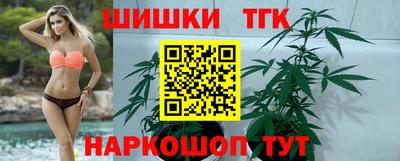 крисы Будённовск
