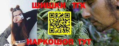 крисы Будённовск