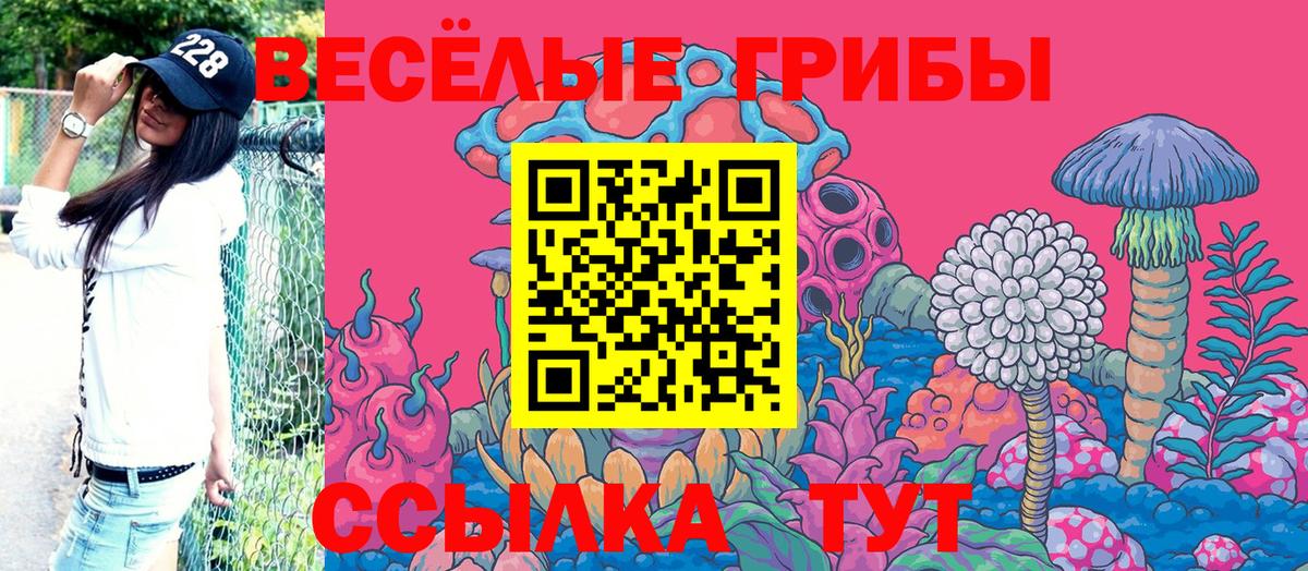 Галлюциногенные грибы мицелий Лесной