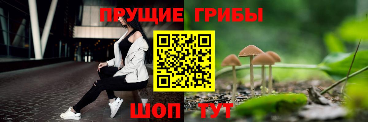 Лесной  Галлюциногенные грибы MAGIC MUSHROOMS  Вход с VPN 