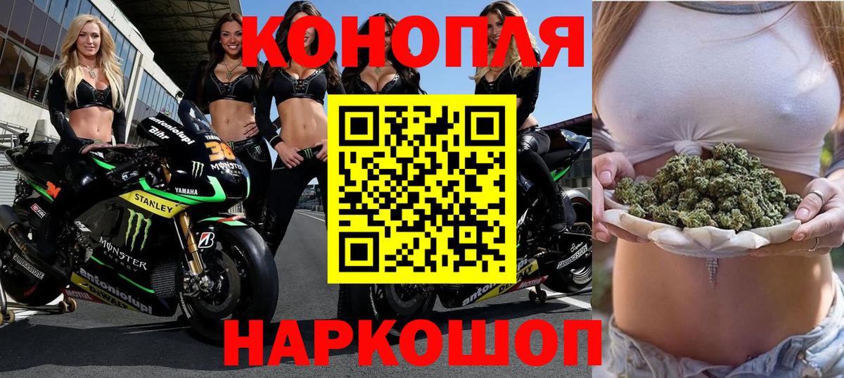 Лесной  Канабис план  Бошки Шишки конопля  Вход с VPN  МАРИХУАНА сатива 